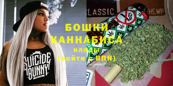 шишки Медногорск