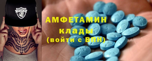 шишки Медногорск