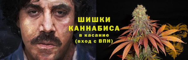 СК Мегион