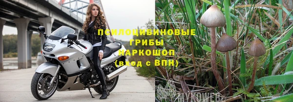 стаф Медвежьегорск