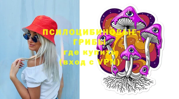 стаф Медвежьегорск