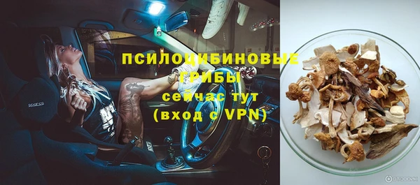 СК Мегион