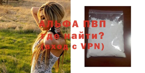 сатива Белая Холуница